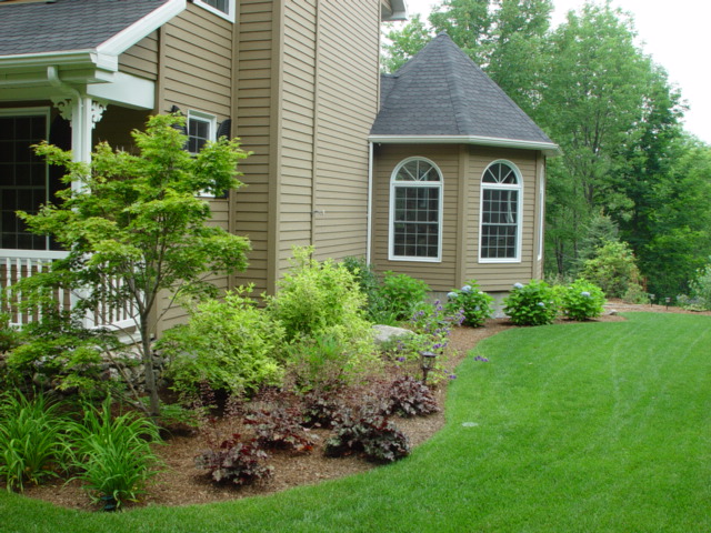 trees plants & shrubs