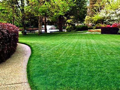 Lawn mowing & trimming