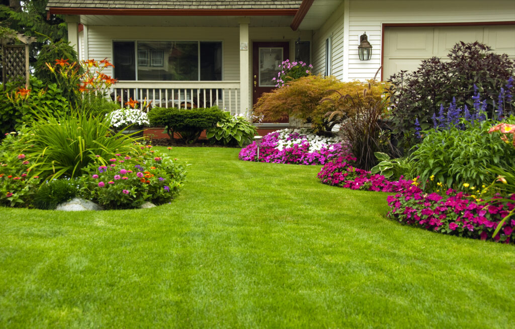 Lawn mowing & trimming fertilizing & weed control